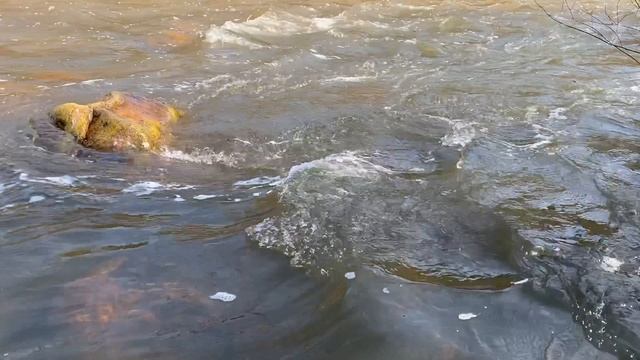 Relax. Течение воды