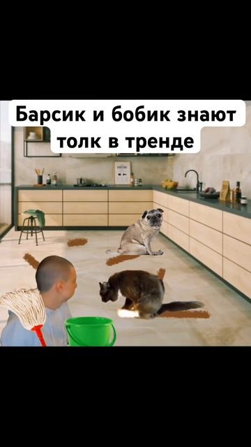 В конце у собаки поехала крыша…#меллстройлучшее #мем # смотреть онлайн