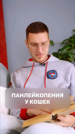Панлейкопения у кошек