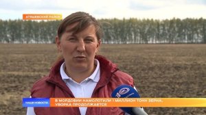 В Мордовии намолотили 1 миллион тонн зерна, уборка продолжается
