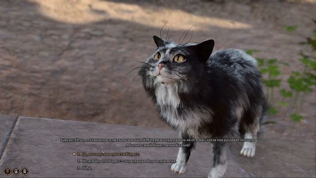 Baldur's Gate 3 кот Барсик в Нижнем городе жрец Шаресс| Barsik the Cat Priest of Sharess смотреть онлайн