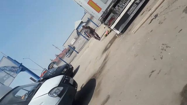 овощи фрукты бизнес смотреть онлайн