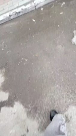 scene_output.mp4