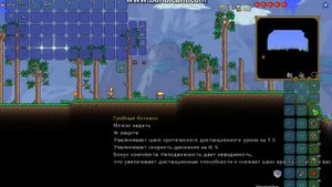 Топовая сборка на стрелка и криты по 1000 !!!!!!!!!!