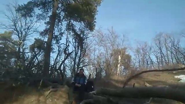 Урочище Поповские сосняки)