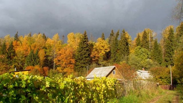 Dance Of Light Nicholas Gunn   Городские и сельские пейзажи