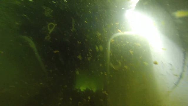 Дайвинг в Аврора Продайвинг 2014 смотреть онлайн