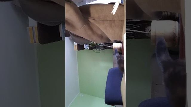 вопросы 3часть #подпишись