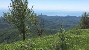 Панорама побережья Туапсе - Джубга - Бетта