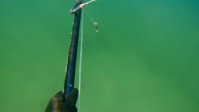 Охота на кефаль. смотреть онлайн