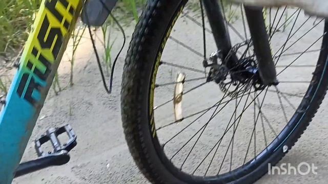 Большое вело путешествие по Алтайскому краю 18. Легкая прогулка от Бобровки до Романово.