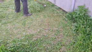 Сезон косьбы открыт. Одуванчики заждались.