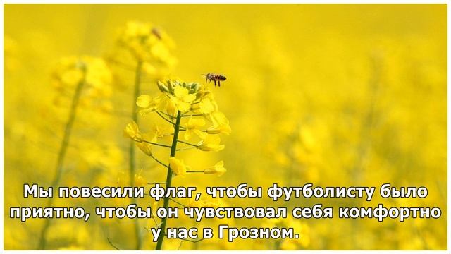 Флаг Косова убрали со стадиона "Ахмат-Арена" в Грозном