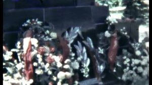 1968 год, День Победы, возложение цветов к вечному огню