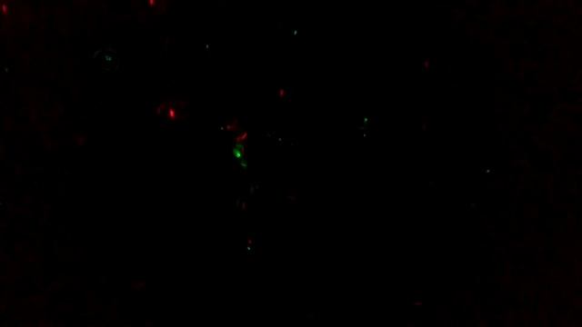 Диско Голинь смотреть онлайн