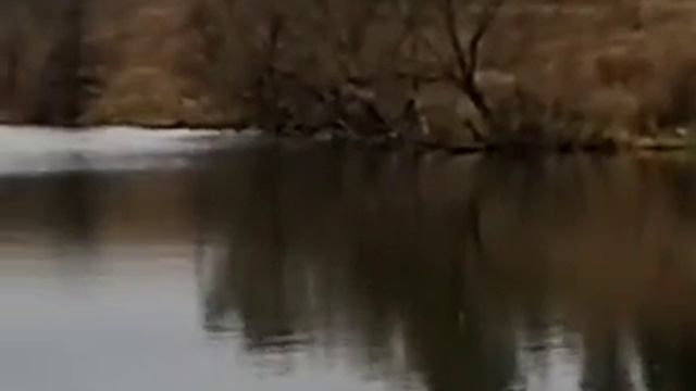 Гребениковка смотреть онлайн