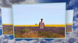 Вокруг света . Around the world( Proshow producer)