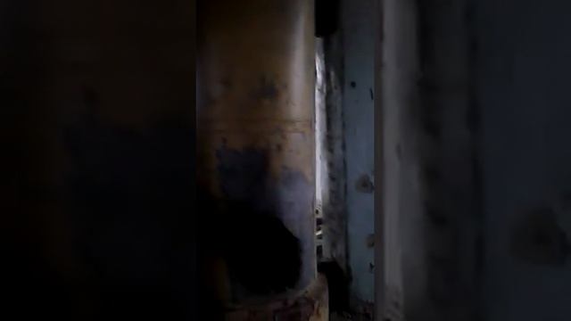 заброшенная библиотека смотреть онлайн