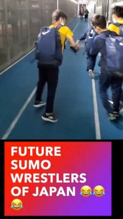 future SUMO WRESTLERS of Japan #funny #karma