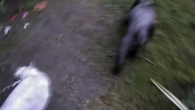 Ася и Зося в Сочи