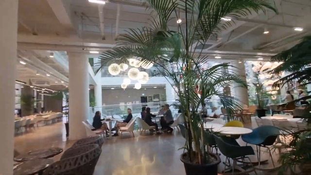 Популярное Кафе "Forest outings" в городе Инчхон Южная Корея смотреть онлайн