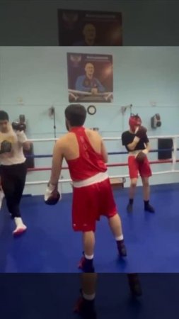 gladiator