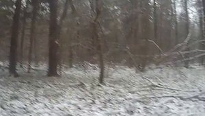 Поиск монет и кладов. От этой находки стало не по себе.