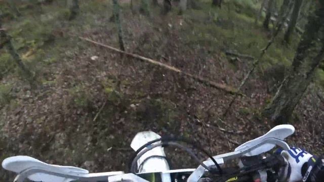 грязный Бурундук 07.11.21 смотреть онлайн