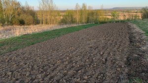 Земля 17 сот. (ЛПХ) в д.Михальчиково Кстовский р-н Нижегородская обл. ул.Северная,46 Цена:1700000₽