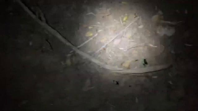 Ночь у реки кемпинг ( camping) смотреть онлайн