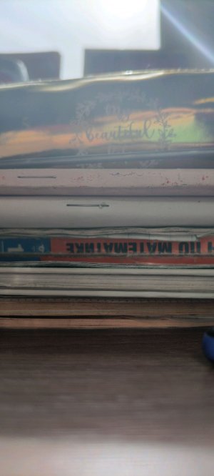 делаю уроки