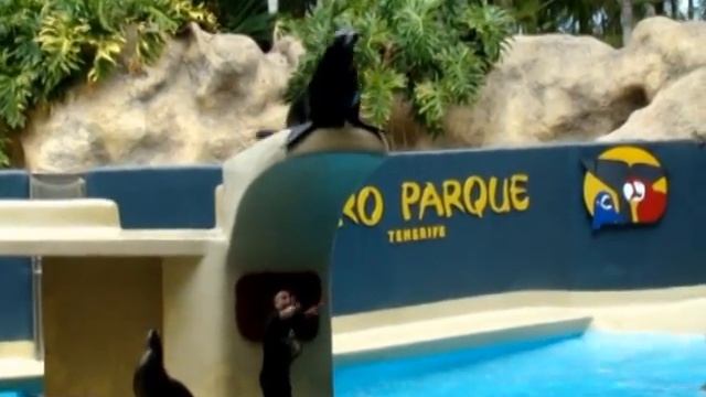 ТЕНЕРИФЕ смотреть онлайн