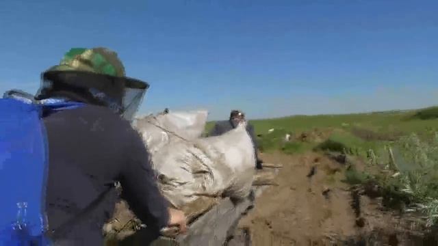 На Рыжковский (северный) пруд привезли дополнительные материалы . 18. 06. 2018