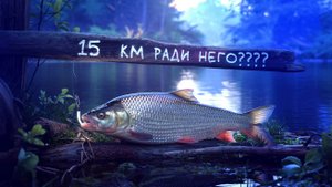 15 КМ за ГОЛАВЛЕМ!!! ИЛОВЛЯ Казачий Курень