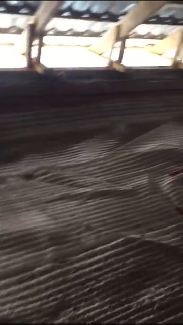 Шымкент ст Бадам утепление крыши пенобетоном смотреть онлайн