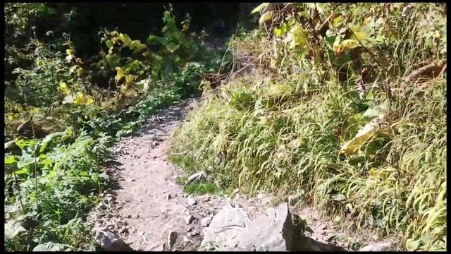 Путешественник ФМ| Кислые источники #2 (не) шелковый путь смотреть онлайн