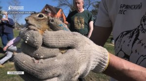 В «Брянском лесу» решили спасти самых маленьких обитателей