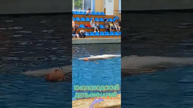 Кисловодский дельфинарий. смотреть онлайн
