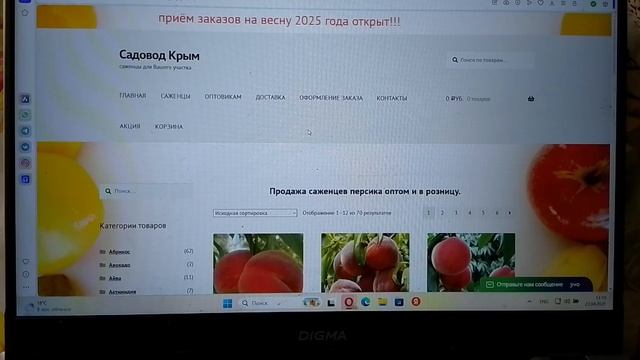 ХОЧУ КЛУБНИКУ И ПЕРСИК  ? КУПИТЬ САЖЕНЦЫ МОЖНО ТУТ!!