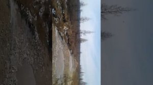 БАМ дорога с Тынды на Дипкун.