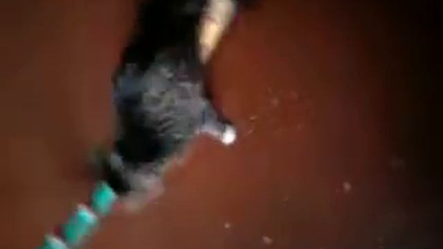 Алекс и хулахуп.mp4 смотреть онлайн