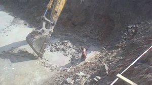 меня засосала опасная трясина