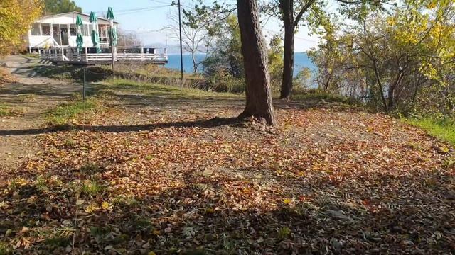 Место 1Л смотреть онлайн