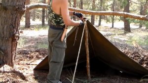 Выживание в лесу