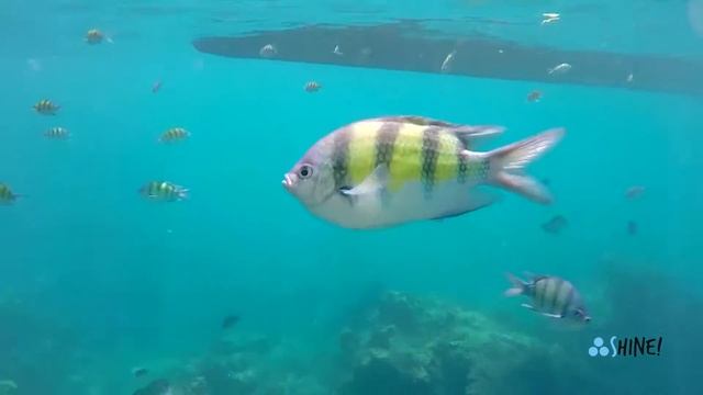 Путешествие по экзотической Азии смотреть онлайн