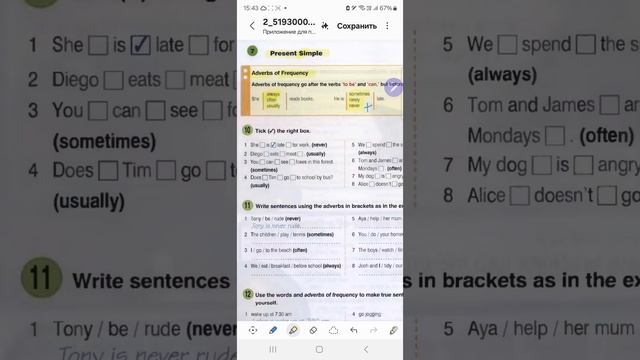 урок 10, английский🇬🇧ОГЭ⏰️ГРАММАТИКА,always,наречия частотности.УРОКИ АНГЛИЙСКОГО +79676250268✍️📱