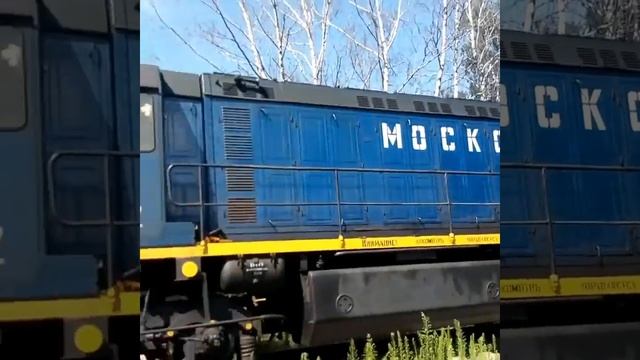 В Бирюлёвских лесах смотреть онлайн