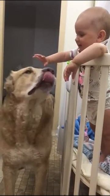 Привет из дома от Гора, который счастливо живет в семье смотреть онлайн