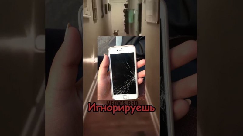 В чьей команде? #рек #рекомендации #хочуврек #выбери #кот #котик #собака #иисус #cat #trending