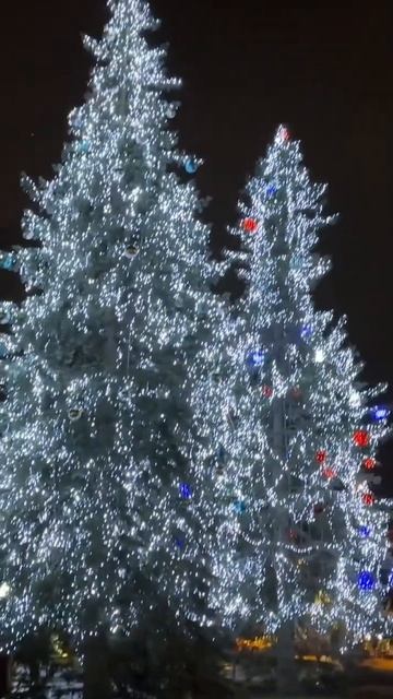 Калининград Новогодний 🎄Как украсили город🎍 #начили #прогулки #развлечения #2023 #калининград смотреть онлайн